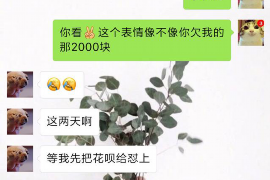 灯塔工资清欠服务